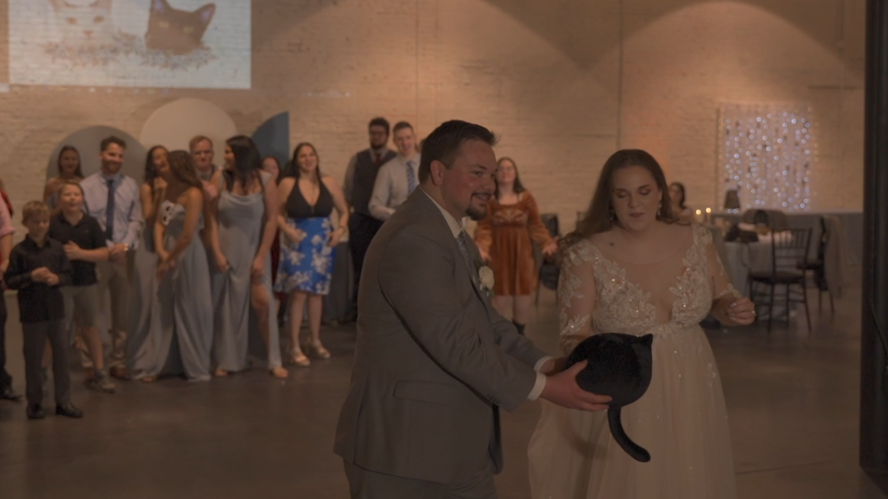 Tullys Tails Cat Toss.png