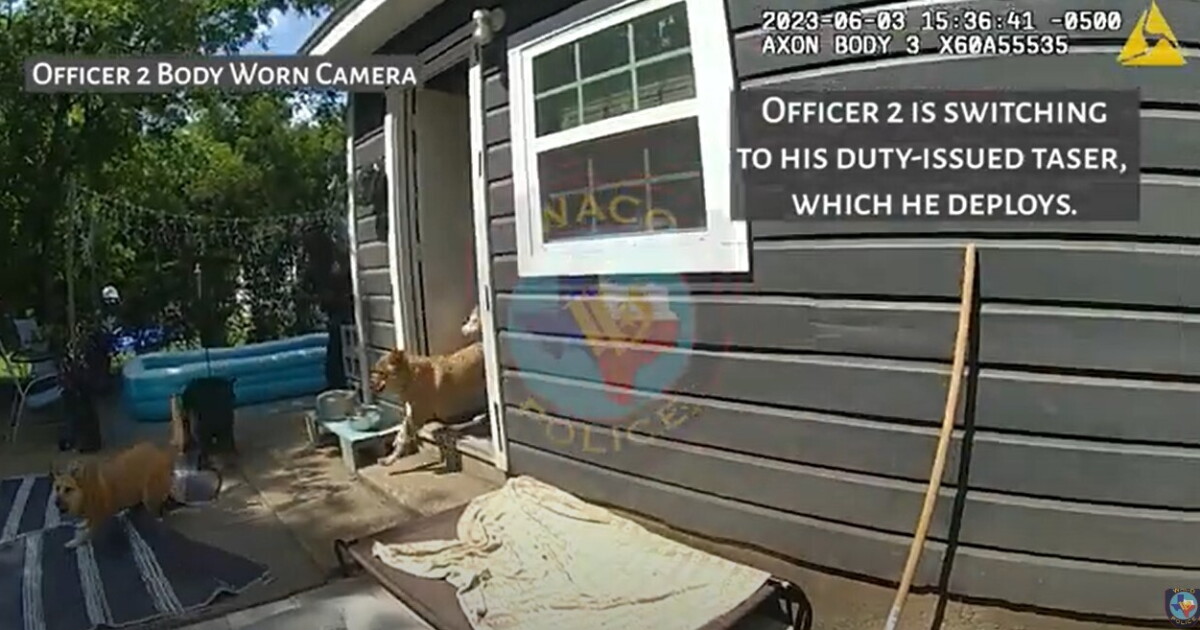 Waco police release body cam footage of dog shooting - Vimarsana News