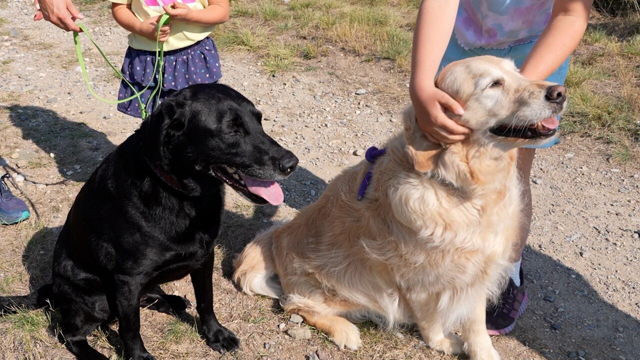 Paisley and Addie