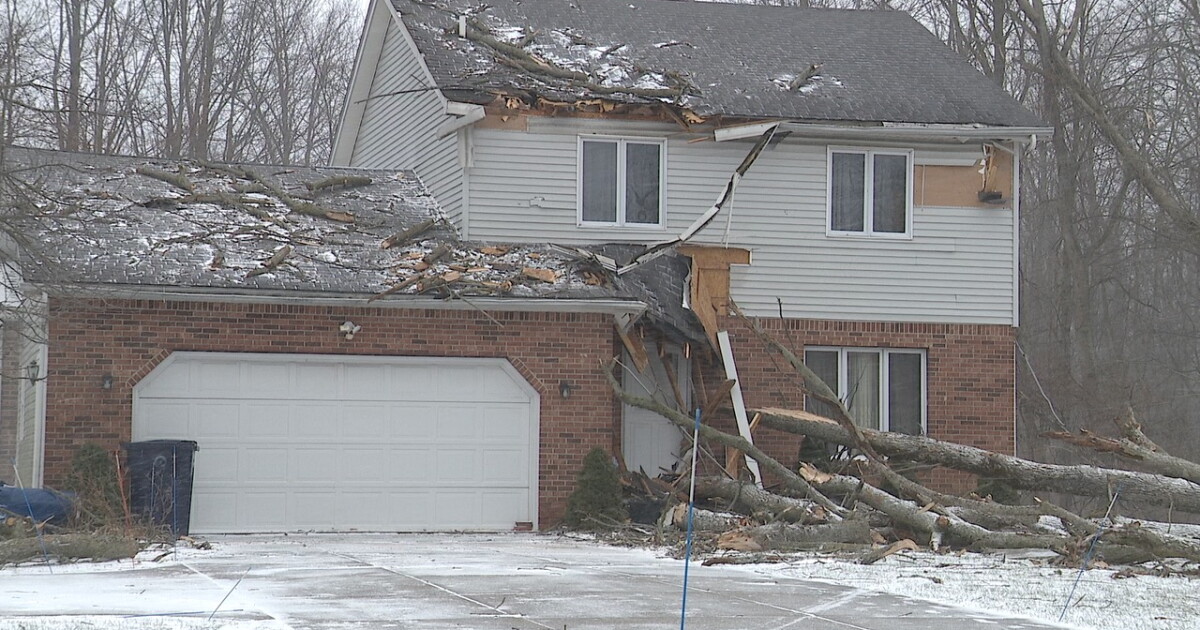 Winter storm topples trees and power lines in Northtowns and Niagara County