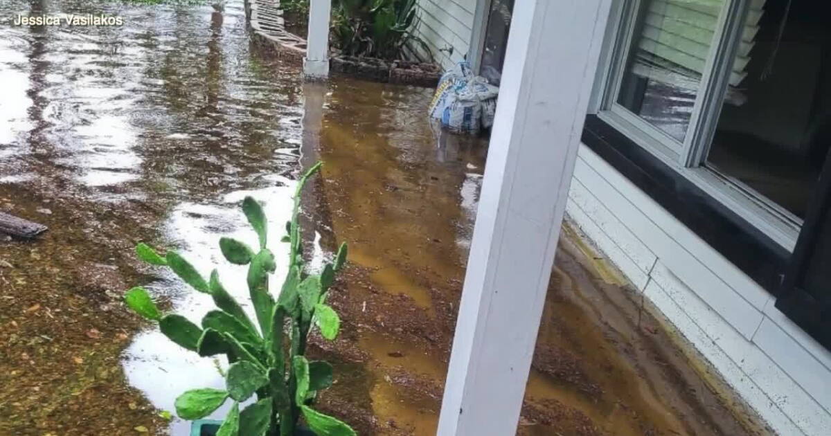 Hillsborough County now eligible for FEMA assistance as family awaits help - Vimarsana News
