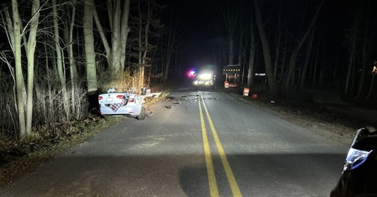 Grand Rapids 18-year-old dies after car hits tree in Plainfield Township