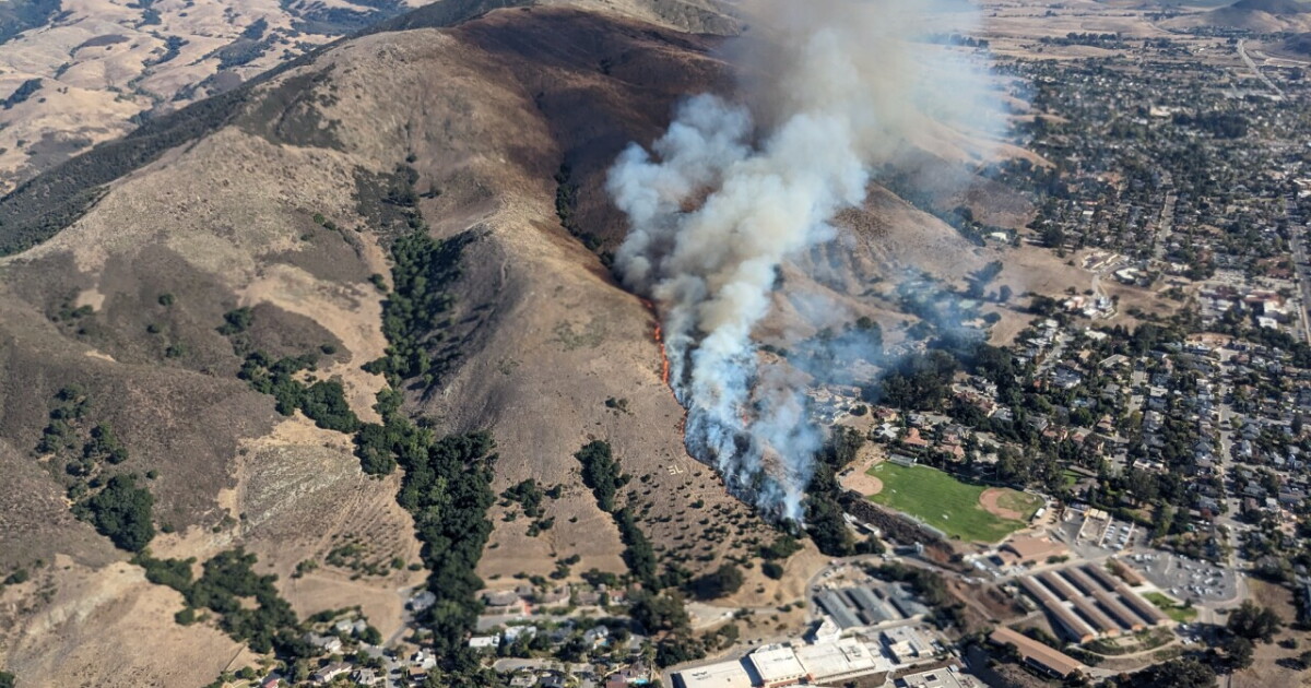 'Waiting for that tree to go up': Resident, official speak about fire in SLO - Vimarsana News