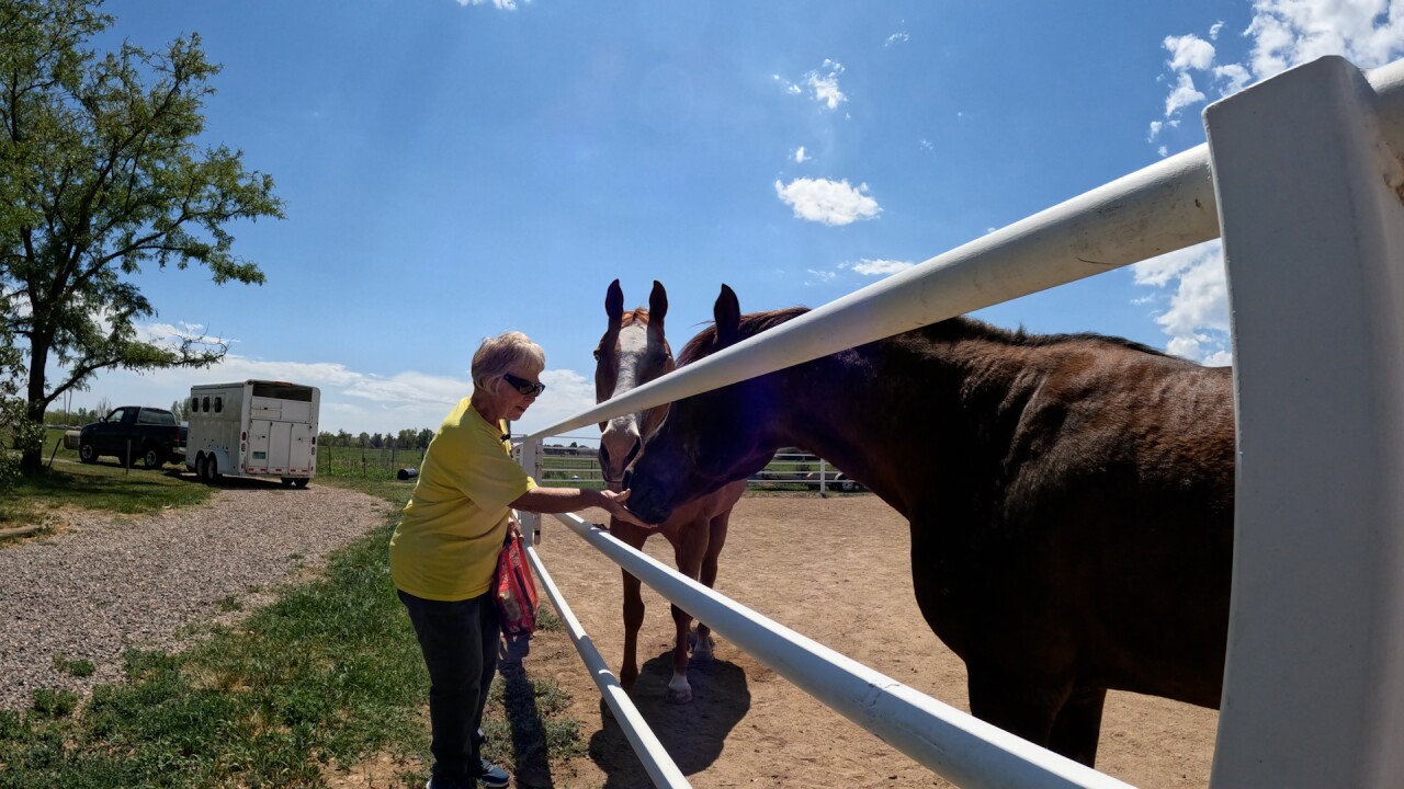Bonnie with her horses.jpg