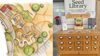 How a 'seed library' will expand its educational mission into a new community garden at the Apache Junction Public Library. 