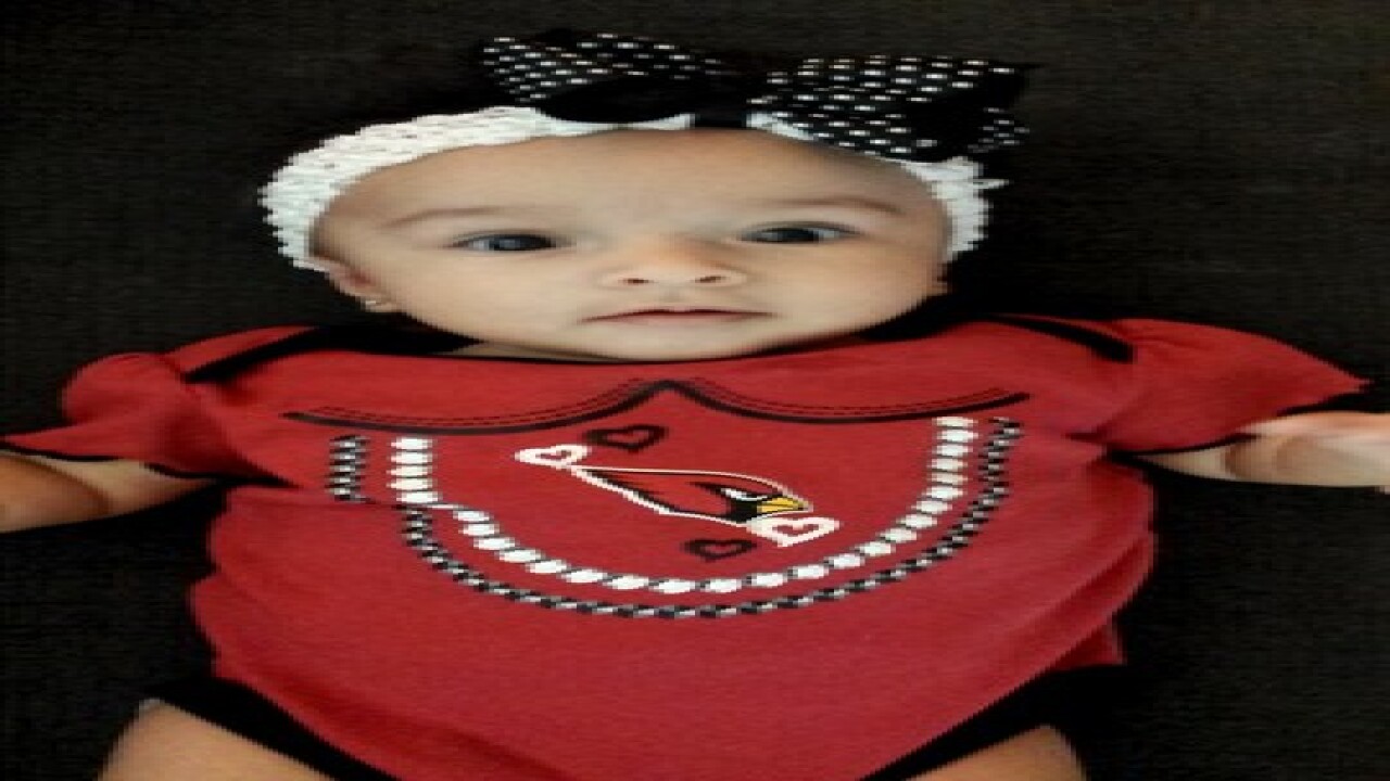 GALLERY: Go Cards! Your fan photos