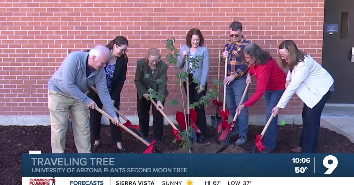 University of Arizona adds tree whose seed traveled to space