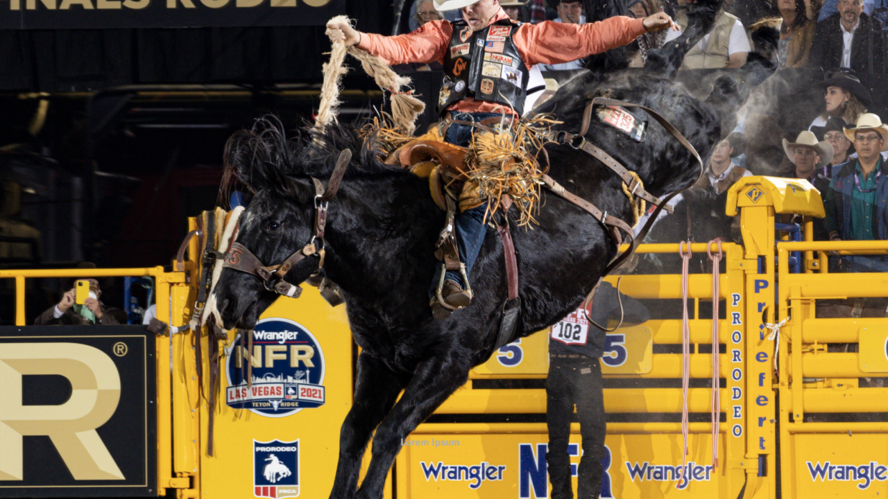 NFR Round 2 Breding, Cress win bull riding, saddle bronc