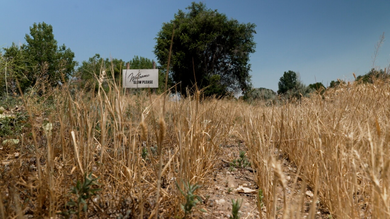 Osborn farm sign.jpg