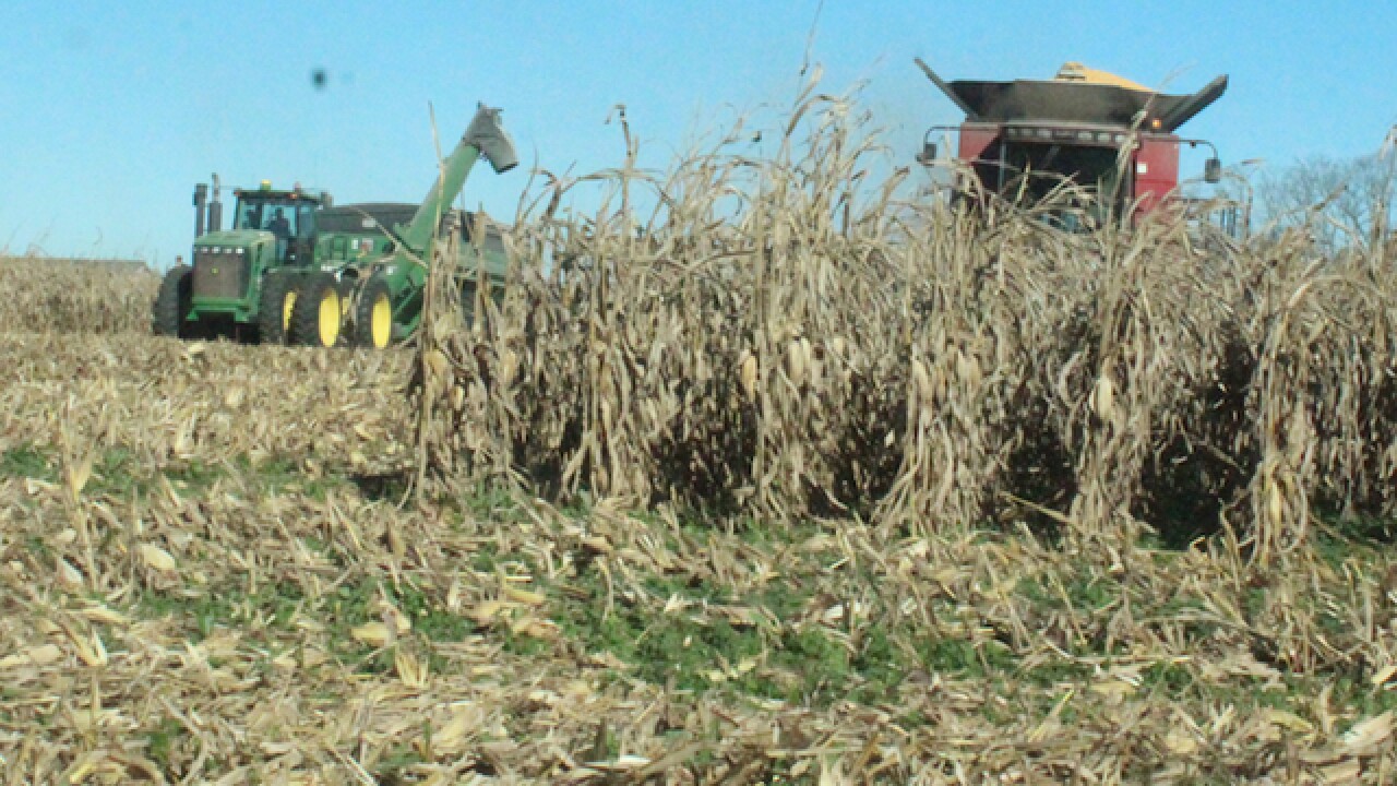 Many farmers show up to finish harvest for family that lost granddaughter in tragic grain accident