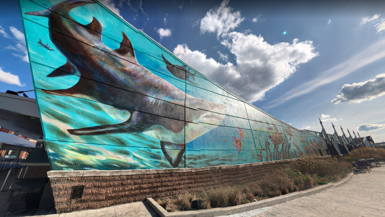 First responders earn free admission to Newport Aquarium - ?url=http:%2F%2Fewscripps Brightspot.s3.amazonaws.com%2Fa7%2Fc3%2F9Dbb0c894e2Db26D461ab2ab8202%2Fscreen Shot 2019 01 08 At 7.57.05%20AM First responders earn free admission to Newport Aquarium - ?url=http:%2F%2Fewscripps Brightspot.s3.amazonaws.com%2Fa7%2Fc3%2F9Dbb0c894e2Db26D461ab2ab8202%2Fscreen Shot 2019 01 08 At 7.57.05%20AM