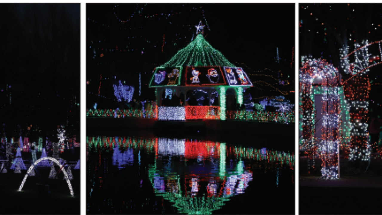 PHOTOS: Rhema lights 