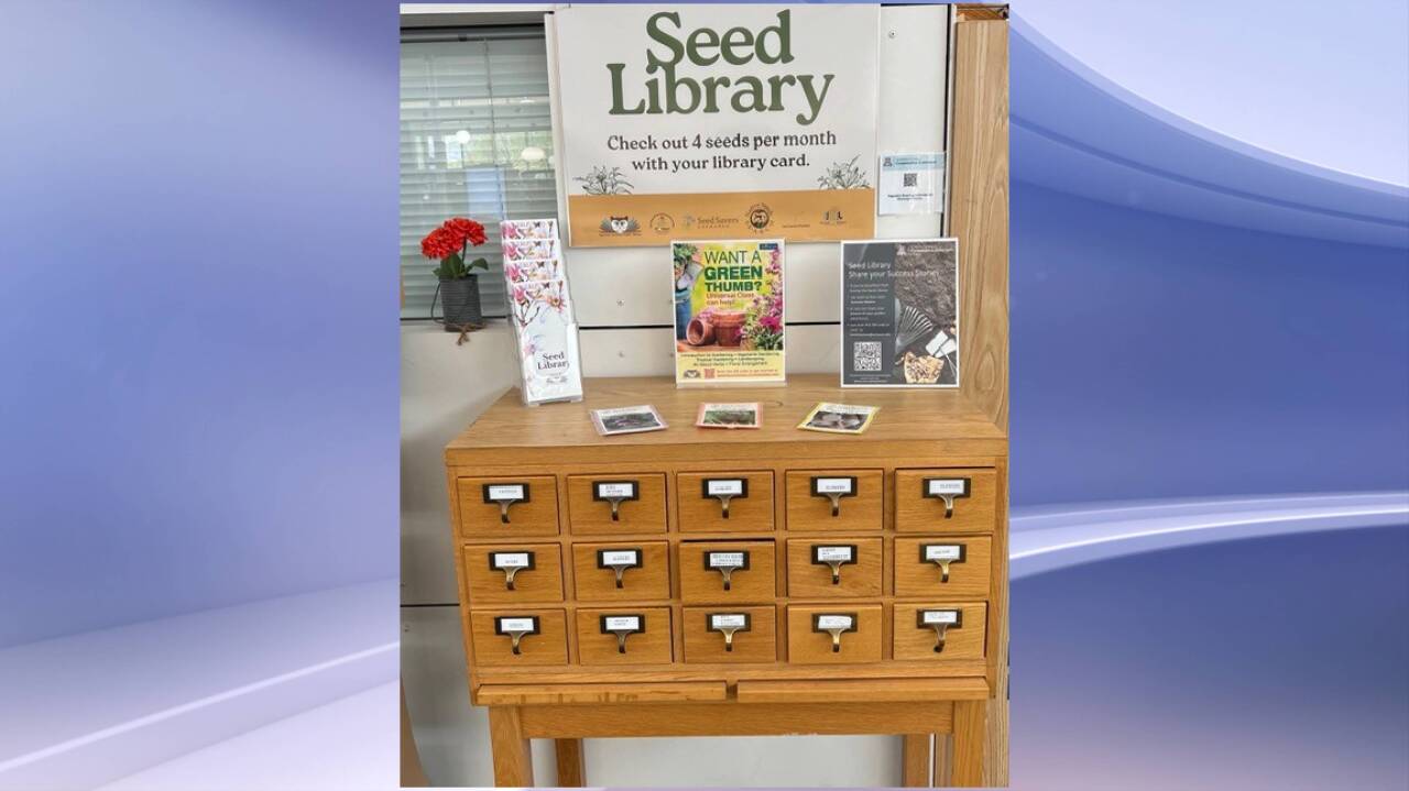 ‘Seed library’ at the Apache Junction Public Library. 