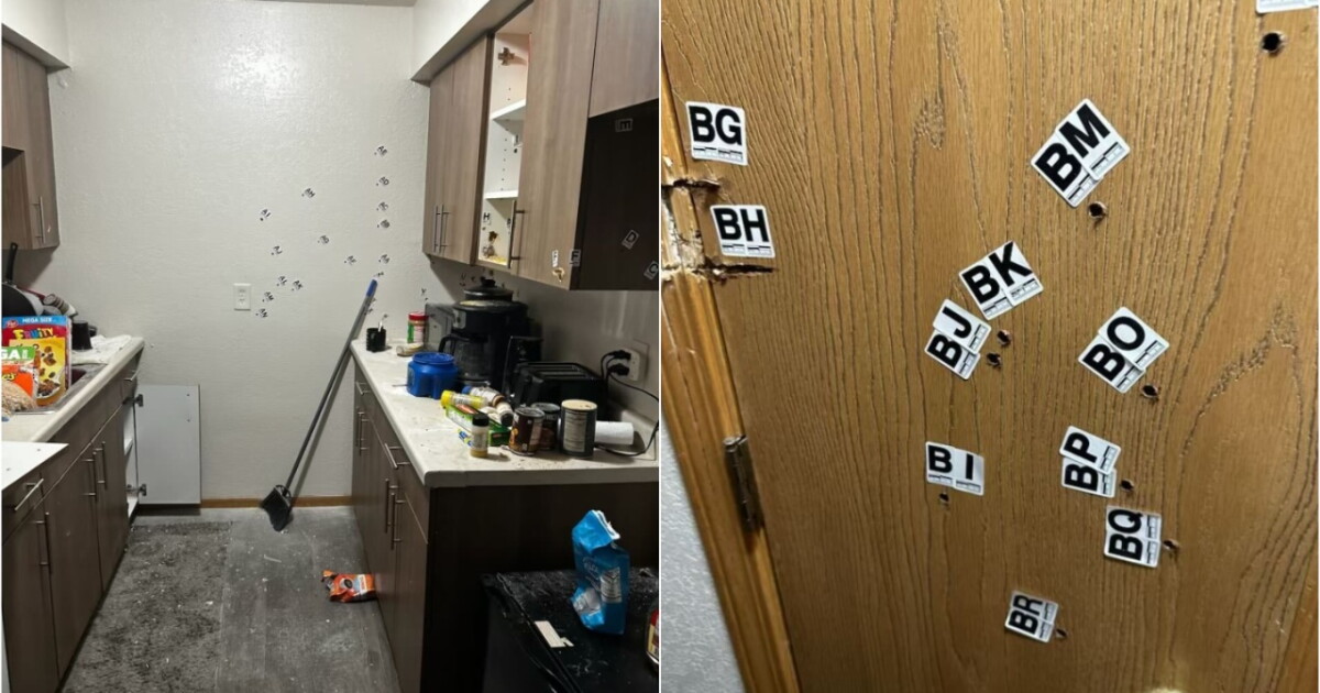 Cartoon Man Riddled By Bullets 'It's destroyed': Man shares photos of bullet-riddled apartment after ...