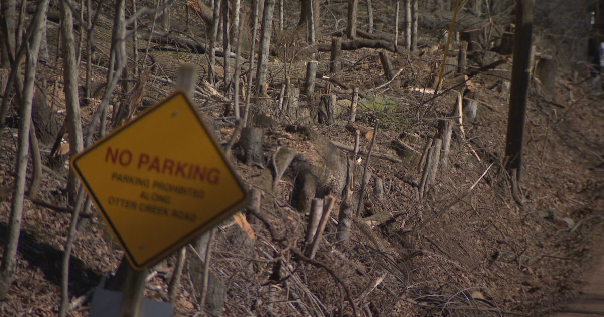 Der Radnor Lake State Park bleibt nach den Verwüstungen durch den Eissturm ...