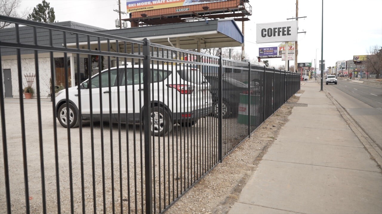 Moonflower Coffee Lot.jpg