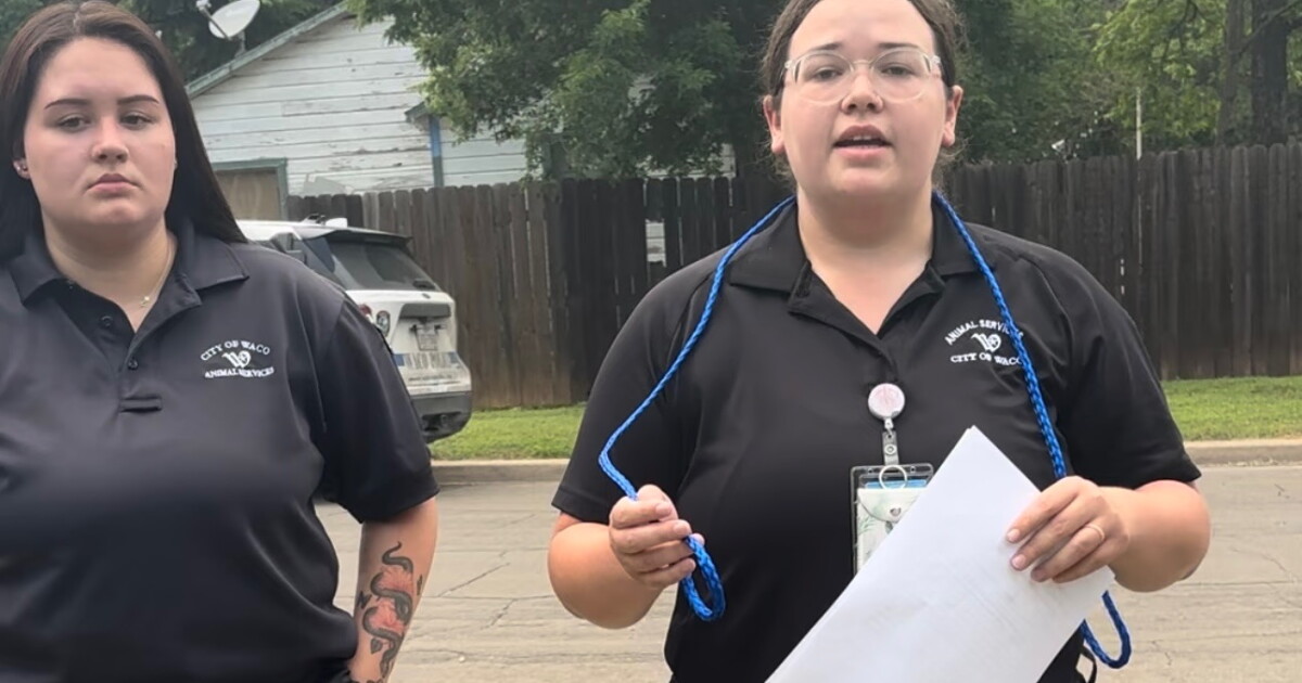 Waco Animal Control reportedly took local woman's dogs without cause