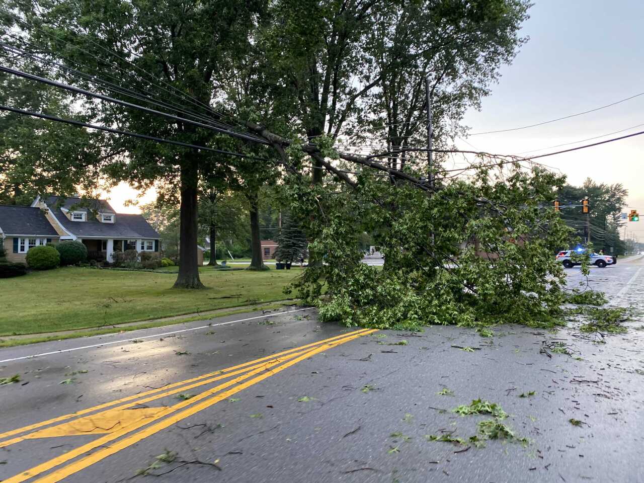 Image from iOS (1).jpg