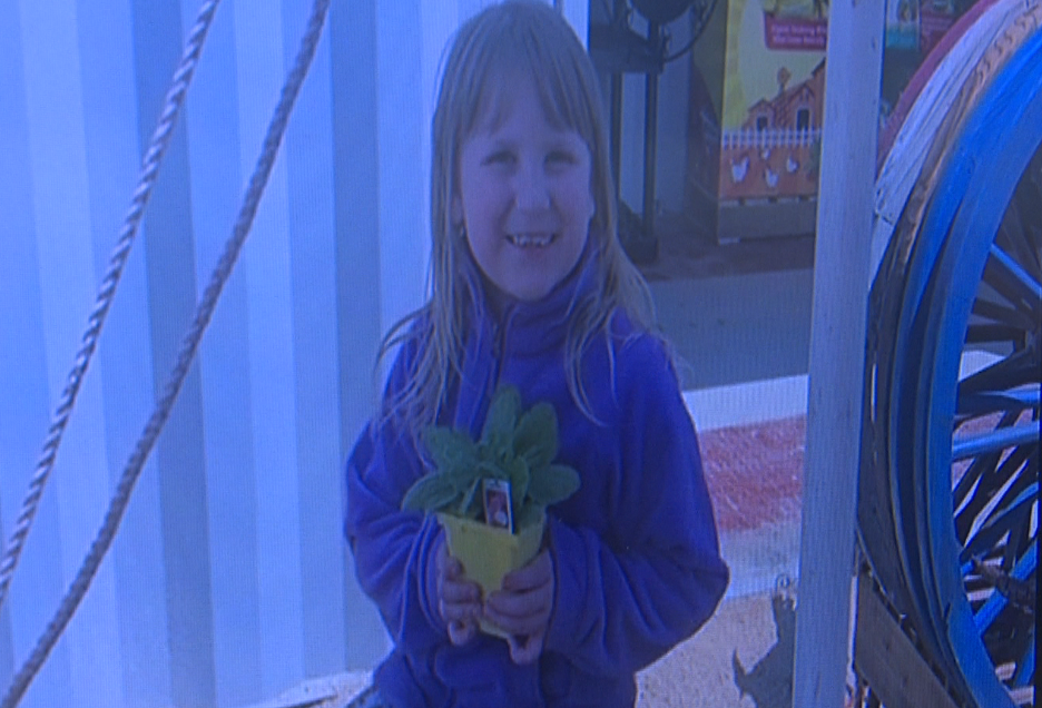 Remembering Emersyn Nicola: Unicorn themed celebration of life for the 8-year-old who was killed in a car crash