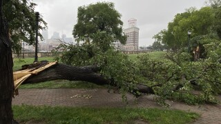 Washington Square Park damage