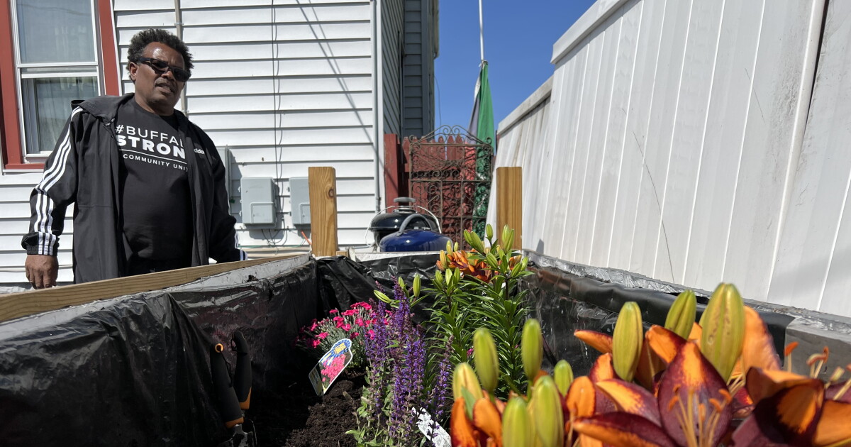 First flowers planted in the garden built for Ruth Whitfield last Mother's Day - Vimarsana News