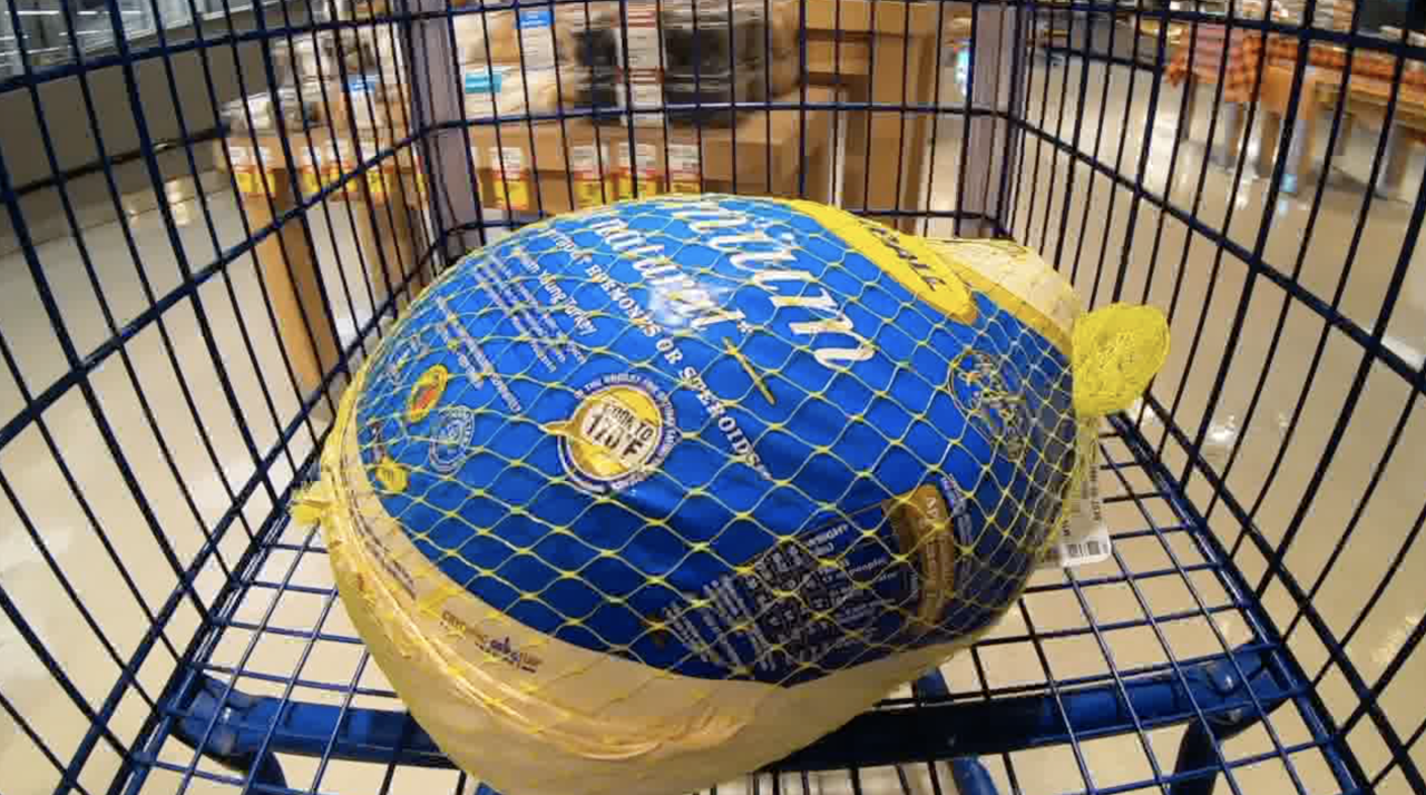 Screen Shot 2023-11-15 at 12.21.06 PM.png