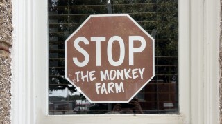 Bainbridge opposition to monkey farm now the focus of a documentary