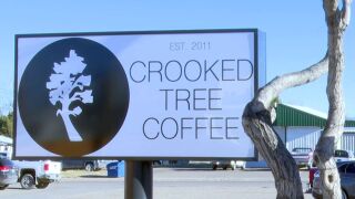 Crooked Tree
