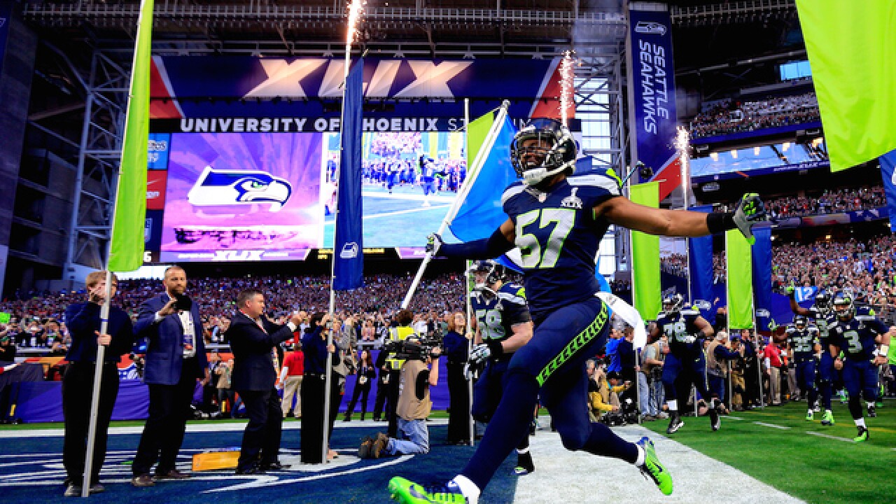 The best photos of Super Bowl XLIX