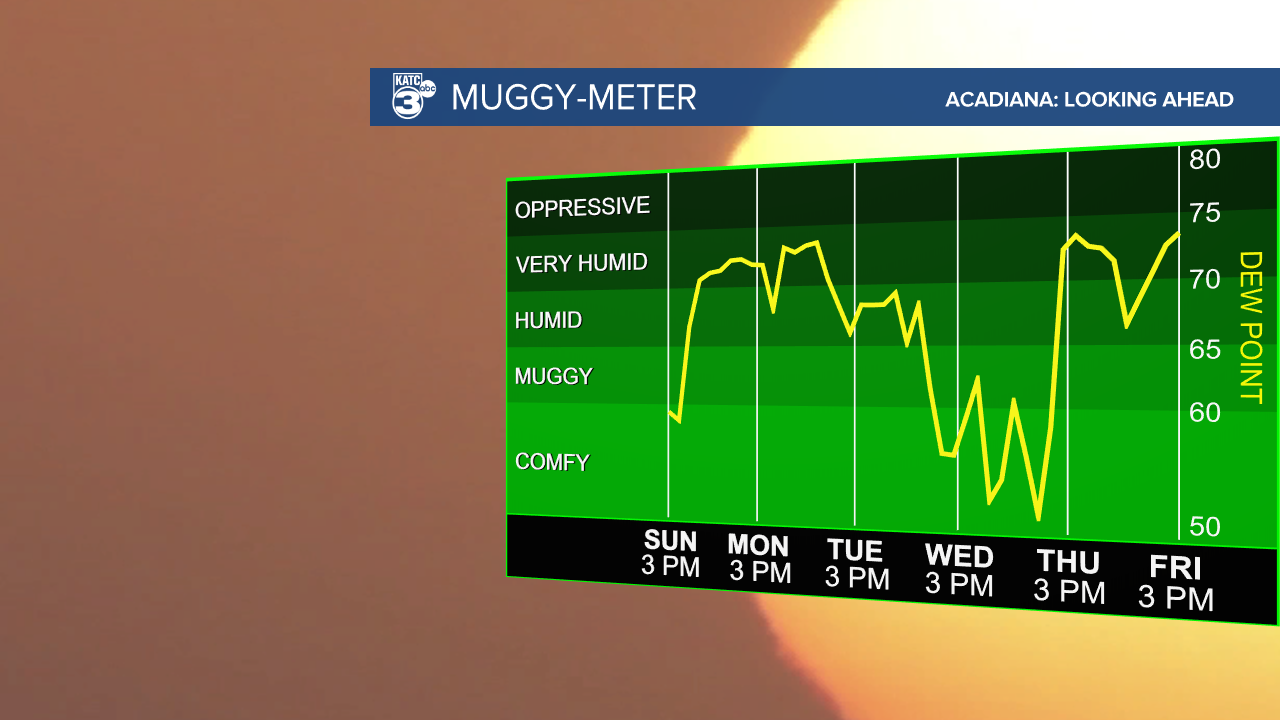 Muggy Meter-1607543012179.png
