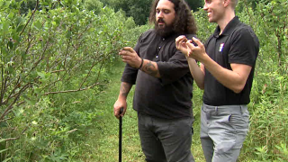 MISSION ON THE FARM: Bangor blueberry farmer giving vets free pints 