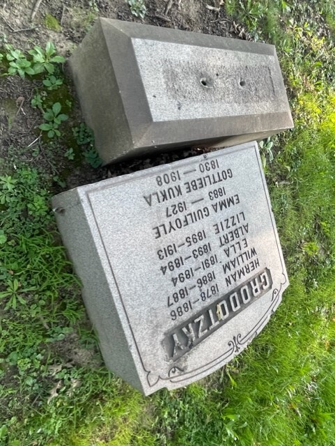 Harvard Grove 3.jpeg