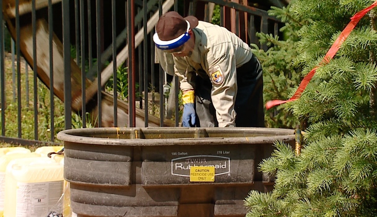 Sea Lamprey Control.jpeg