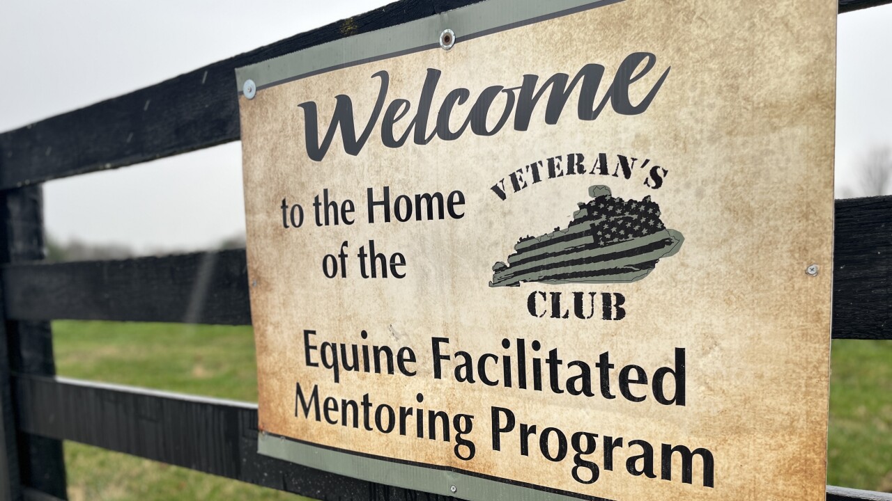 Veteran's Club Equine Facilitated Mentoring Program
