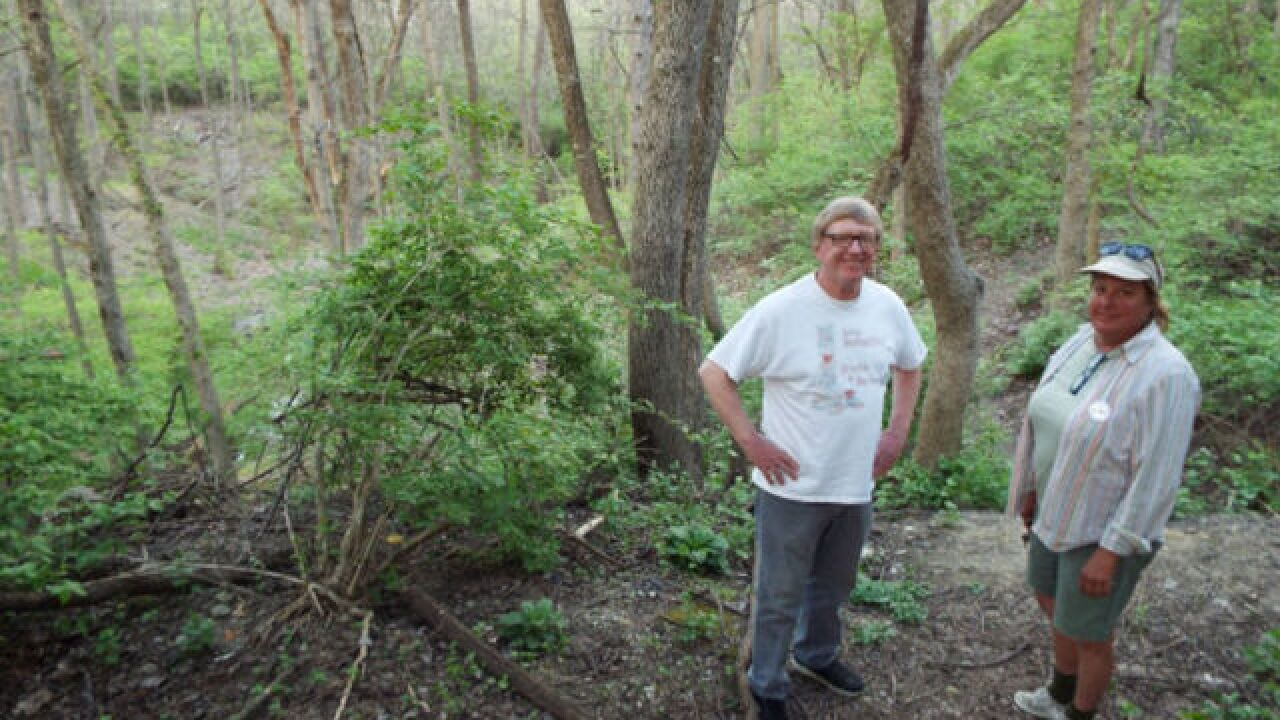 Warder Park Protectors Hoping To Save Property