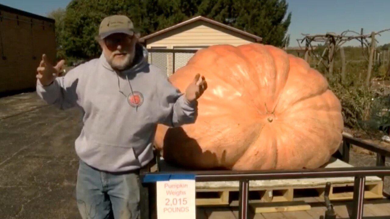 The heaviest pumpkin in Wisconsin weighs 2,015 pounds