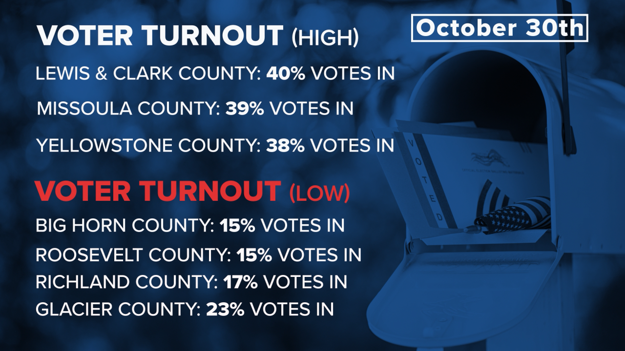 County Voter Turnout