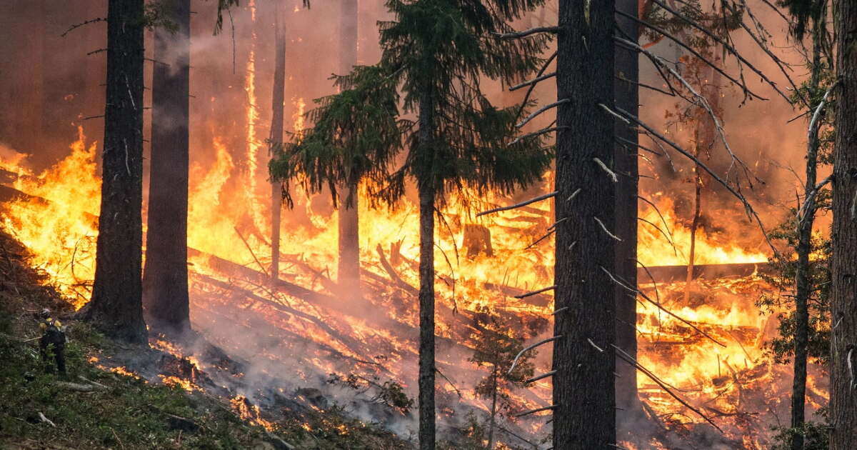 State Farm stops home insurance sales in California, citing wildfire risks - Vimarsana News