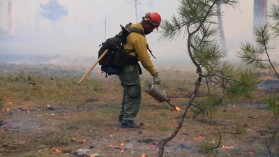 WILDFIRE.jpg