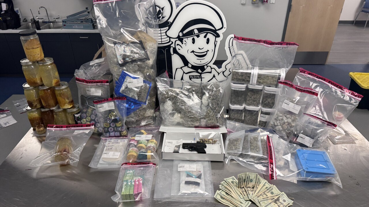 Marijuana drug bust