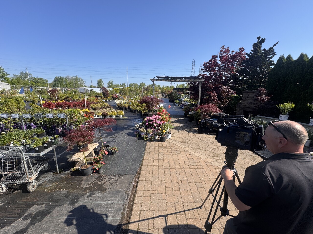 Pandy's Garden Center 1
