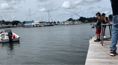 Here's why the oyster reefs in Hampton Roads need protection