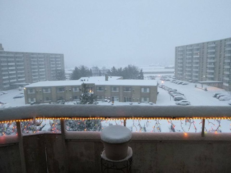 Laura Bruno Willoughby Hills.jpg