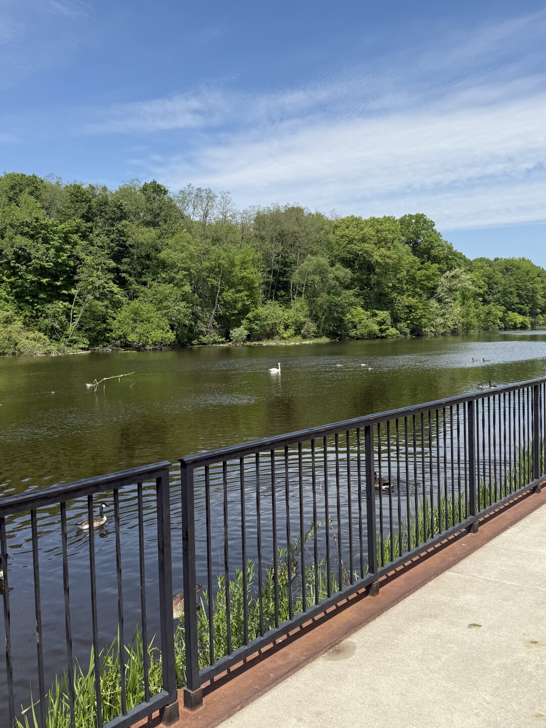 Rogue River Rockford