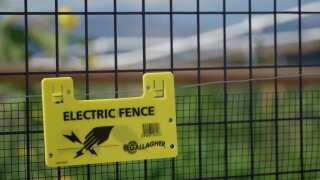 Electric Fence