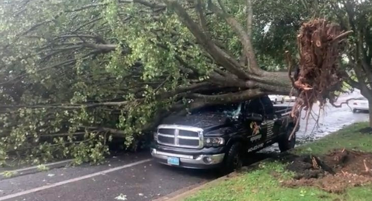 Screen Shot 2022-07-12 at 5.46.39 PM.png