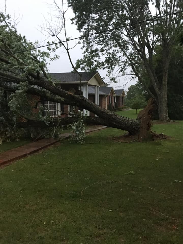 cheatham damage.jpg