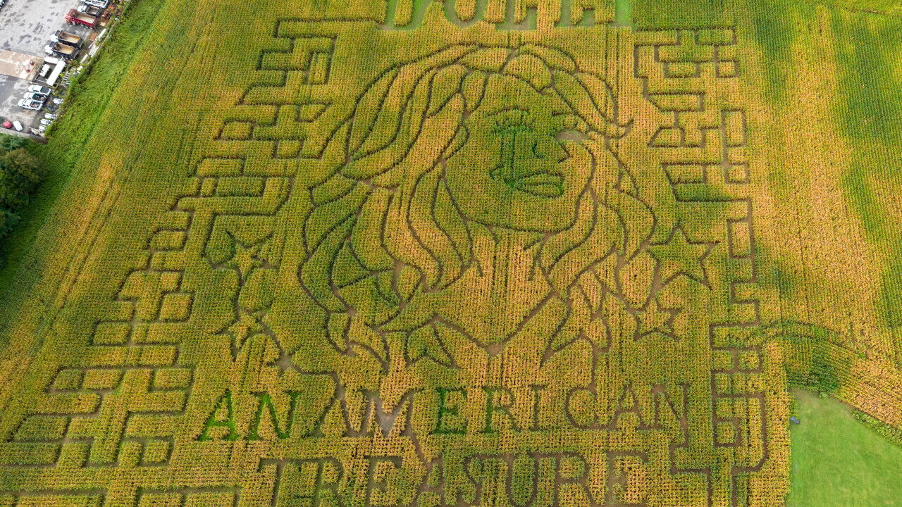 Dolly Parton Corn Maze