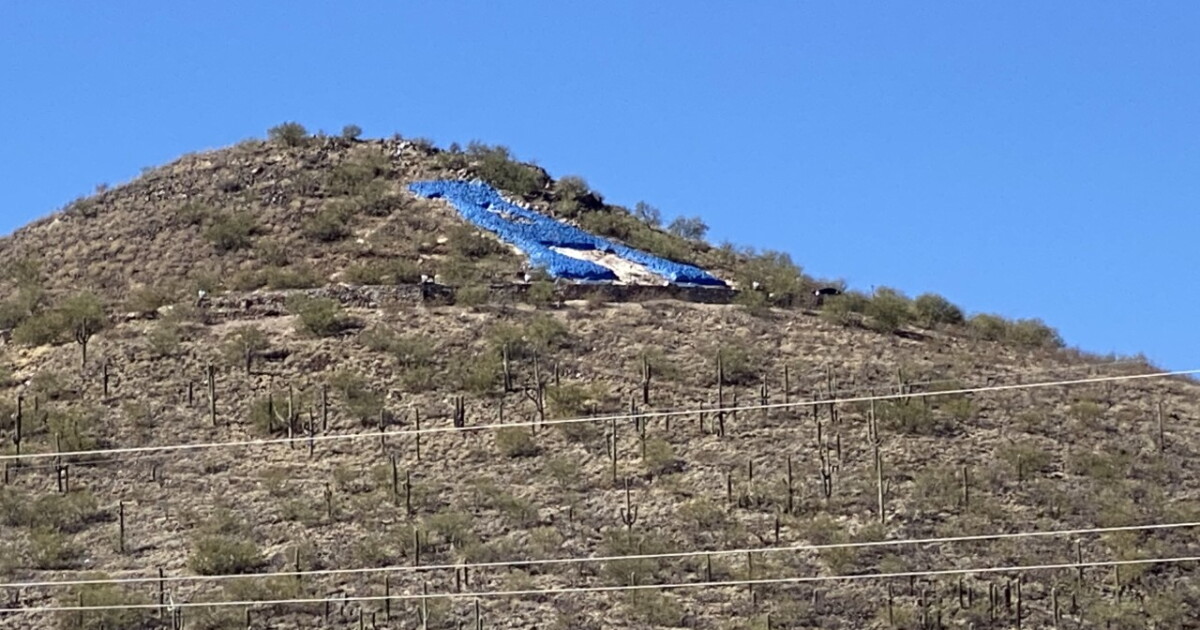 Absolutely Arizona reveals 