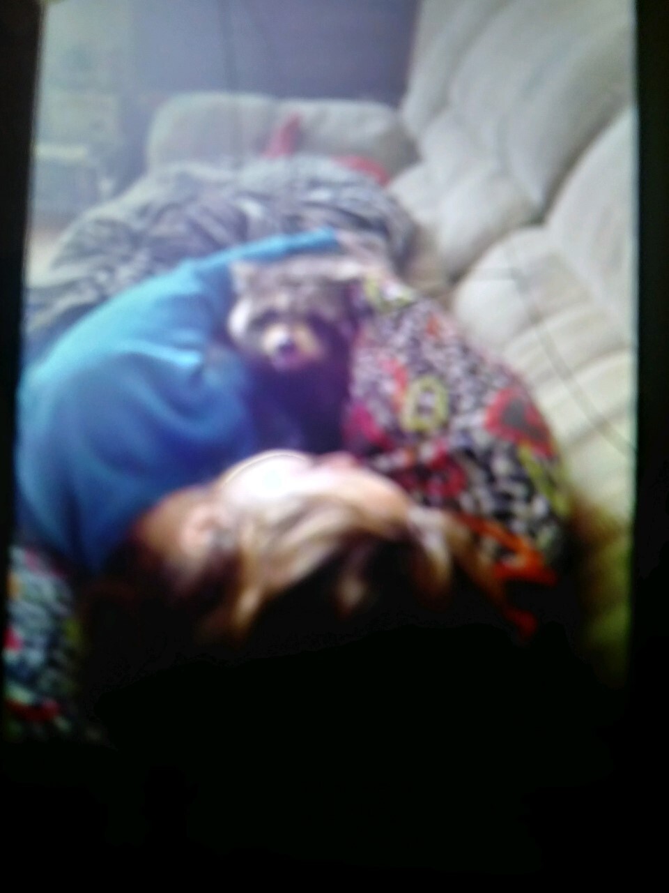 thumbnail_image2.jpg